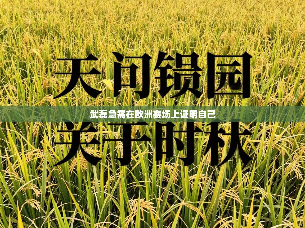 武磊急需在欧洲赛场上证明自己  第1张