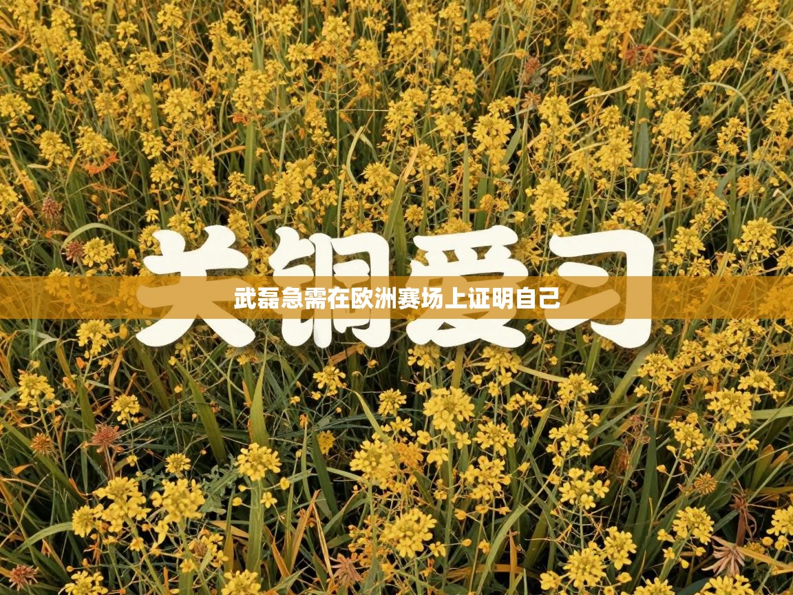 武磊急需在欧洲赛场上证明自己  第2张